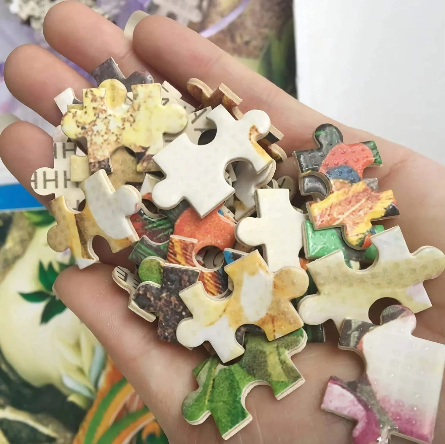 500-2000 Teile Puzzle Anime He – Kids Heaven Education Bewertung und Preis